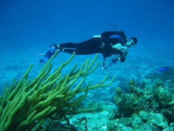 Diving in Cozumel, Mexico